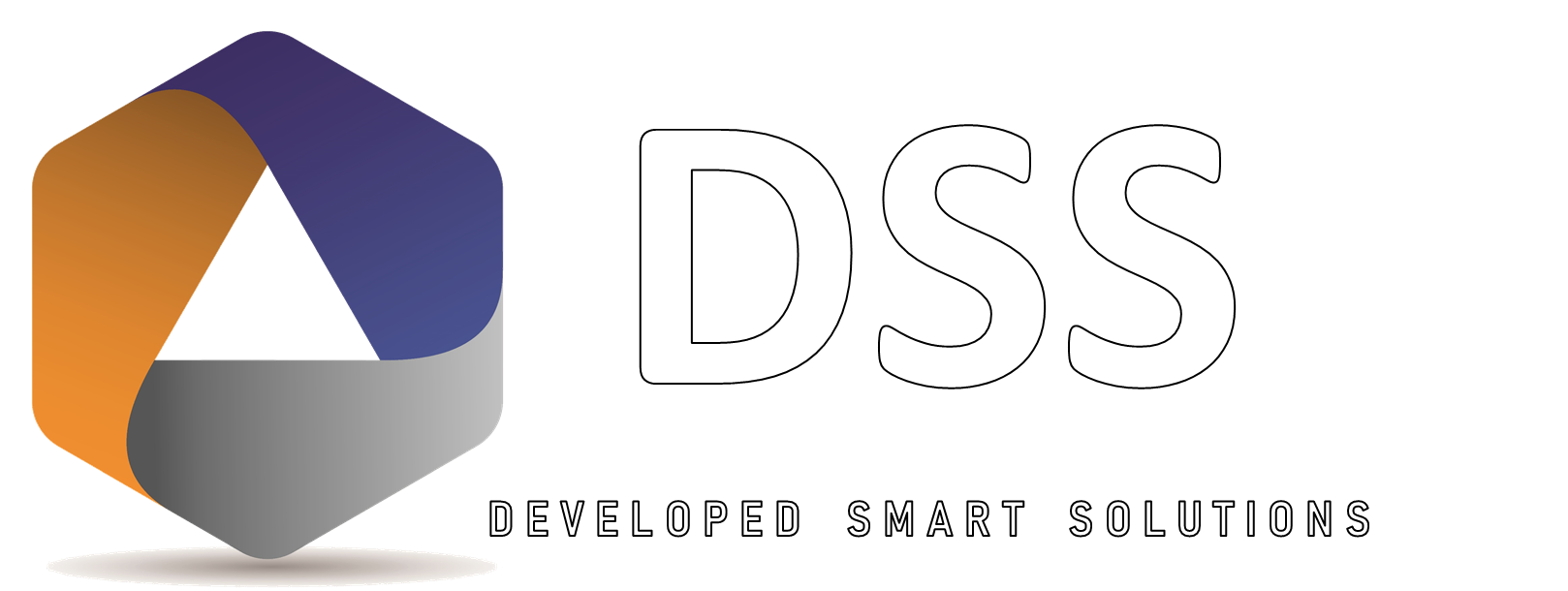 Developed Smart Solutions – DSS